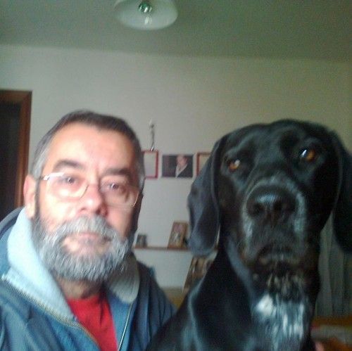 Fotolog de unitarismo: Perfil